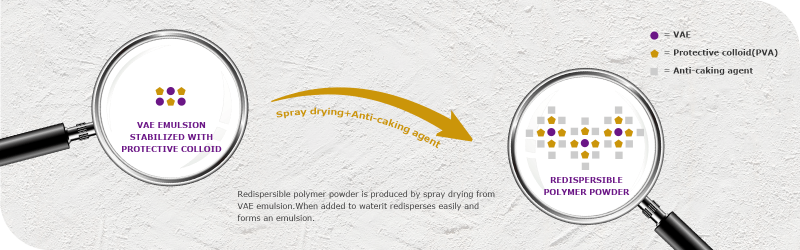 Redispersible Polymer Powder (RDP) in Mortar: Performance Enhancement for Polymer Modified Mortar, Tile Adhesive